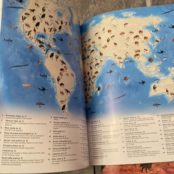 7 “so many ways” books with birds, reptiles, animals etc - Picture 8 of 12